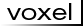 voxel