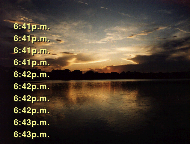 Bumper Page (BP) page sample